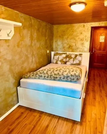 Swiss Joopi Отель Reckingen