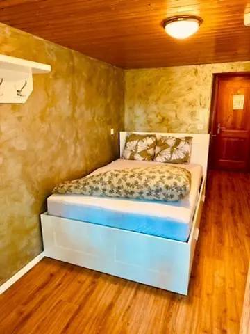 Swiss Joopi Hotel Reckingen